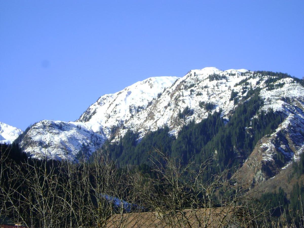 Ferienwohnung Fred Hollersbach im Pinzgau Zewnętrze zdjęcie